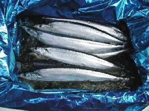 sanma02.jpg